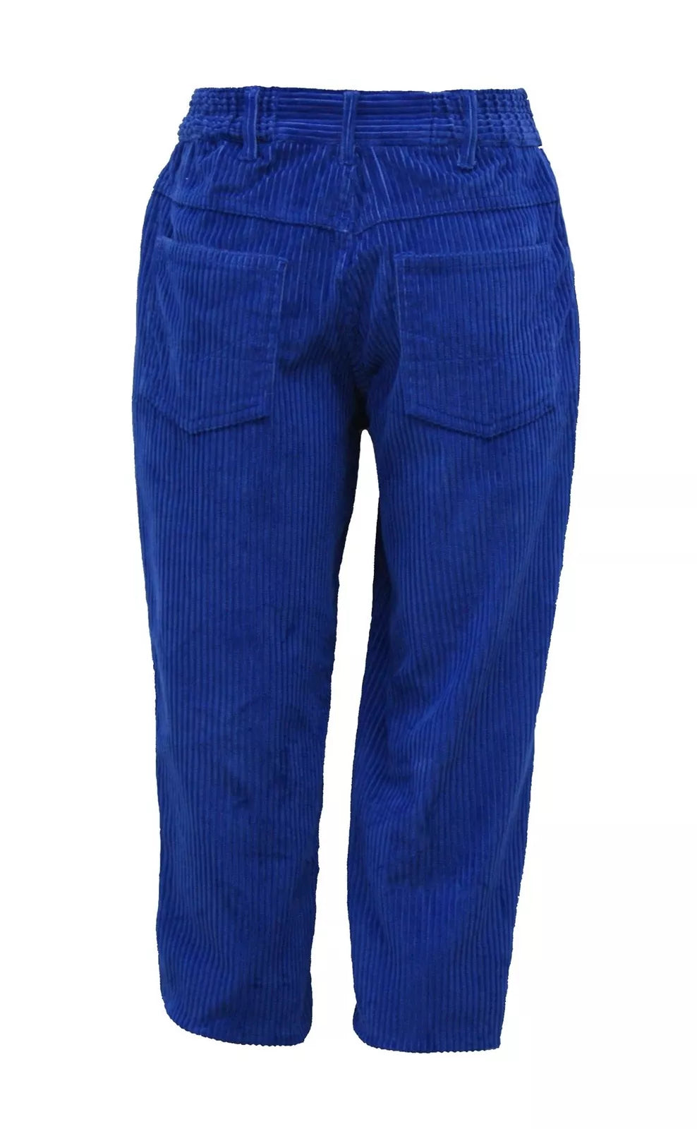 Kids Trousers Warm Corduroy Pants Royal Blue